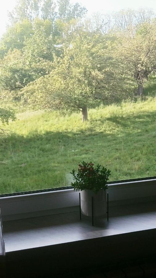 Przylesie Apartamento Uniejow Exterior foto